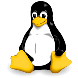 Skill icon